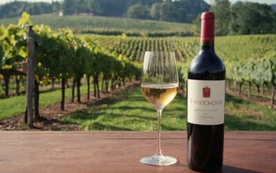 Guide dachat comment choisir vos vins primeurs 2025